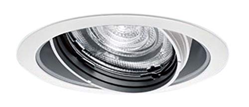 �p�i�\�j�b�N TOLSO SERIES LED�X�|�b�g���C�g �z�������@�\�t ��125 200�` ��ʌ��F �z���C�g �����F NTS62052W