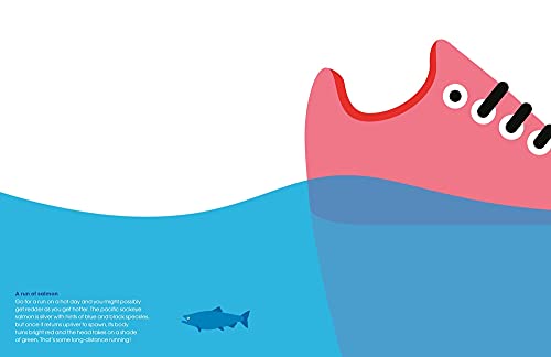 A Shiver of Sharks: a Compilation of Aquatic