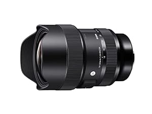 Sigma 213965 14-24mm F2.8 DG DN Art for Sony E Mount, Black — photo 3 of 6
