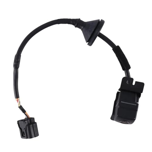 Caméra de recul 95760-A9100 pour véhicule Carnival 2014 2015 2016 2017 2018 Vision