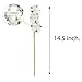 SuperMoss Cotton Stems Proflora All Natural Dried 3 Ball – 18pcs, 14.5” Cotton Sprigs for Home Decor, Wedding Decor, Farmhouse Wall Decor, Vase Filler, and Floral Arrangements, 6 Pack, (99998)