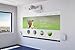 Imagen de Epson EB-1485Fi Proyector Full HD con WLAN Integrado