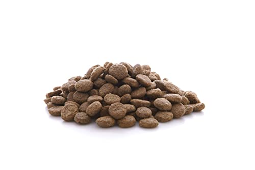 almo nature HFC Adult Dog XS/S 100% Frischer Lachs - Komplett-Trockenfutter für ausgewachsene Hunde Kleiner Rassen 1.2 Kg