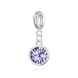 Philip Jones February (Amethyst) Birthstone Charm Created with Zircondia® Crystals