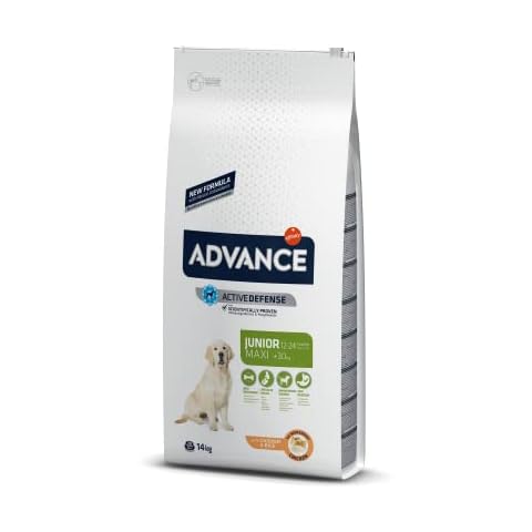 Advance Maxi Junior, Pienso para Perritos Junior Cover