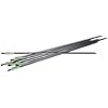 Benjamin AB6PKA Pioneer Airbow Arrow Pack