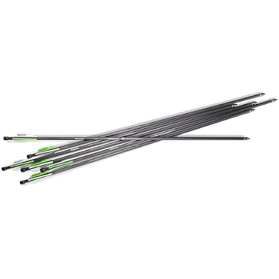 Benjamin AB6PKA Pioneer Airbow Arrow Pack