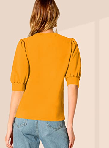 Image of Dream Beauty Fashion Women's Puff Sleeve Round High Neck Top Balloon Bishop Sleeve Elegant Casual Tee (23 inch Inches)- (Top Sofia P)