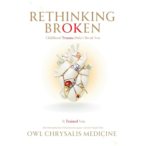 Page de couverture de Rethinking Broken