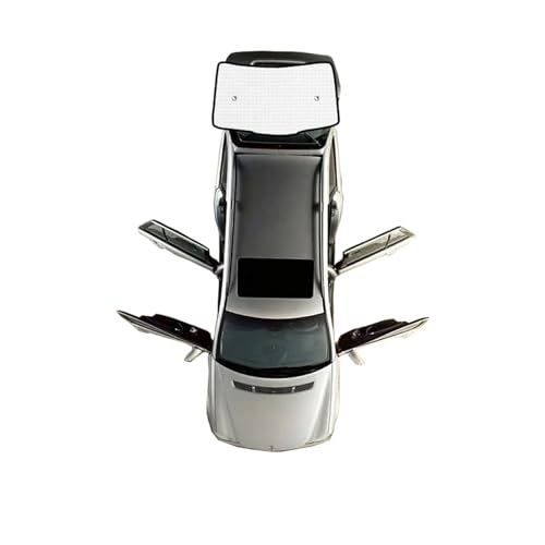 Pare soleil voiture Benz Classe S W221 court protection fenêtres