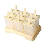 Caja de hielo casera: elabora tus propias delicias en la comodidad de tu hogar con la caja de hielo incluida.