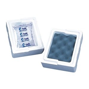 ThermoSafe 440 EPS Mini Mailer (Case of 24)
