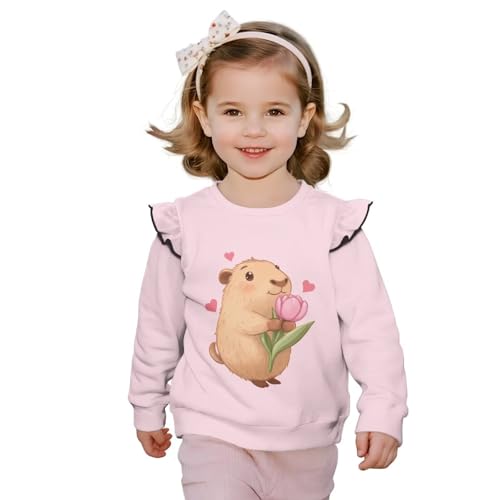 Toddler Sweatshirt Girls Long Sleeve Shirts Clothes For Kids Crew Neck Pullover Comfy Blouse for Winter