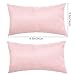 Marrywindix Tiny Pillow 2 Pack Small Decorative Pillow 9.5 x 5.5 in Travel Pillows Soft Pet Pillow for Camping Travel Sleeping Bed Sofa Neck Knee Wrist Support (Pink)