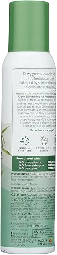 Image of Citrus Magic Odor Eliminating Air Freshener Spray, Bamboo Rainforest, 3-Ounce, Pack of 3
