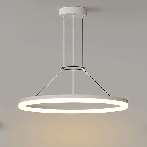 Lustre de salon LED haut de gamme, suspension anneau métal et acrylique LWX
