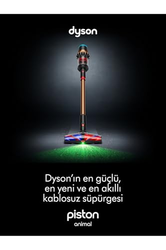 Aspirateur Dyson V16 Piston Animal - Noir/Cuivre