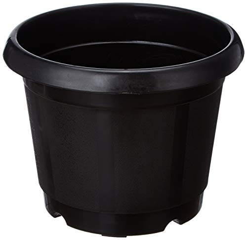 Gardens Need 100% Virgin Plastic Nursery Pot -8.5" | Set of 4 Planter, (22cm x 19cm x 22cm, Black) (B087N9NKWD) Amazon Price History, Amazon Price Tracker