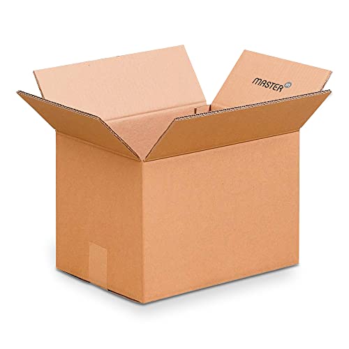 Master'in - Caisse carton double cannelure - Brune - 430 x 300 x 300 mm - Lot de 15 caisses