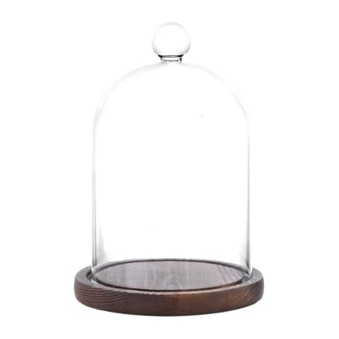 REFSAVER Glass Dome with Base,Glass Cloche Bell Jar,Display Case with Wooden Base for Plants,Collectibles (3.5 * 4.3 inches) Cover