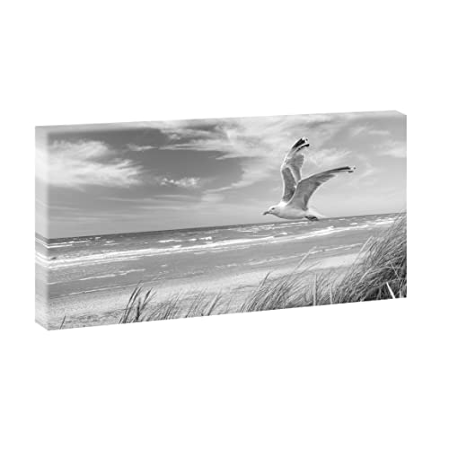 Querfarben® Möwe am Strand