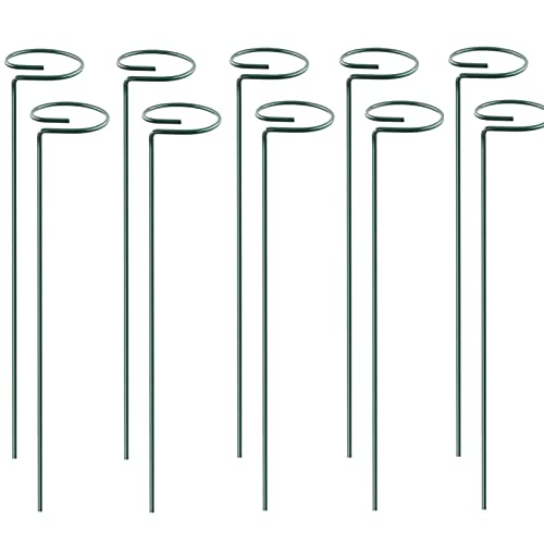 KHBNHJ Lot de 10 tuteurs de support de 40 cm pour plantes de jardin, tige unique, anneau de support en métal pour orchidée, glaïeul, iris dahlia, amaryllis, rose et lys