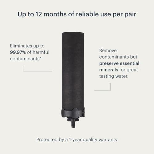 Boroux Foundation Black Replacement Water Filter - Replacement For Berkey BB9-2 and Gravity-Fed Water Filter Systems - Image 2