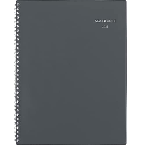 AT-A-GLANCE DayMinder 2023 Monthly Planner 21.6 x 27.9 cm, Large, Grey (GC47007), gray, 8.5 inches X 11 inches