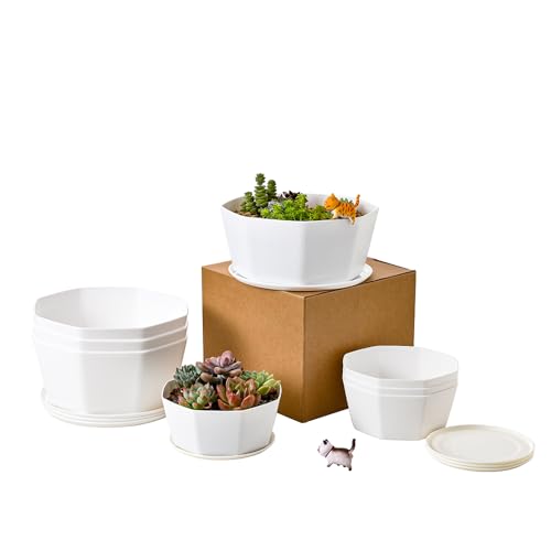 BangQiao 8 Pack 8.00 inch and 5.90 inch White Plastic