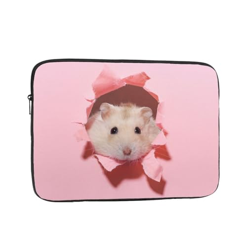 m[gp\RP[X nX^[ sN Aj} 60°ی ϏՌ p\RobO ^ p\RJo[ y Vv ʊw ʋ rWlX jp lC v[g 17 C`