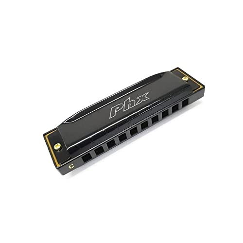 Gaita 10 Vozes Preta Le-1020c Bk Phoenix