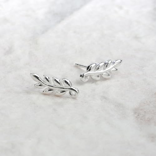 Boma Jewelry Sterling Silver Leaf Branch Vine Stud Earrings3