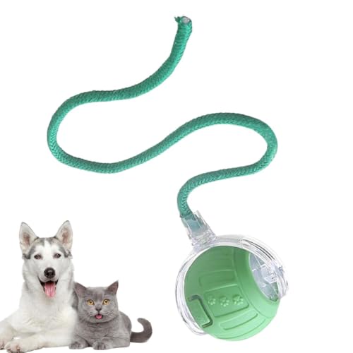 Bola interactiva para gatos con orbe motorizado ABS interactivo 2