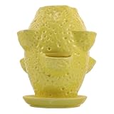 Aération : les pots à orchidées en céramique perforés assurent une bonne aération et une croissance saine des racines, ce qui les rend idéaux pour les orchidées et autres plantes à fleurs, ainsi que pour le rempotage et les plantes grasses