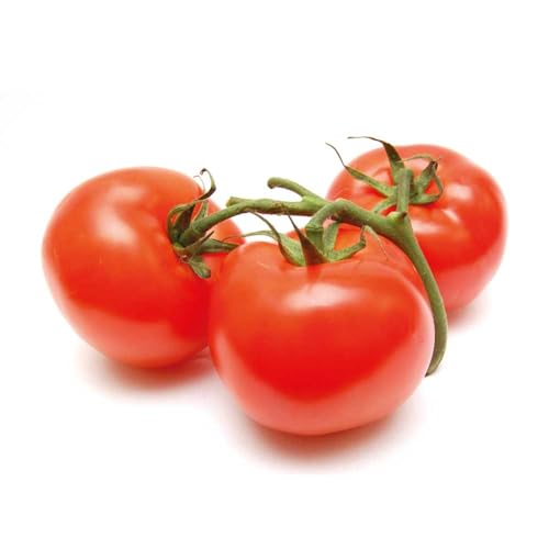Tomatera Planta Natural de Exterior - Planta de Huerto para Cultivar Tomates