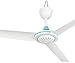Haxiqiway Ventilateur de Tente Camping, Ventilateur de Plafond Basse Tension DC 12V pour la Maison, Le Bureau et la Chambre