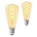 Produktbild SSC-LUXon 2 Stück LUBI Design Vintage LED Glühbirne E27 Edison mit Retro Filament - Glühlampe dimmbar 3W extra warmweiß Nostalgie
