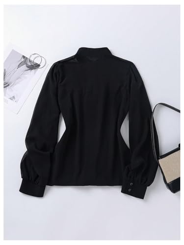 GORGLITTER Women's Sheer Mesh Long Sleeve Blouses Tops Dressy Casual Work V Neck Button Down Office Fall Blouses Shirt2
