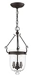 Livex Lighting 5083-07 Jefferson 3 Light Bronze Bell Jar Hanging Lantern with Seeded Glass