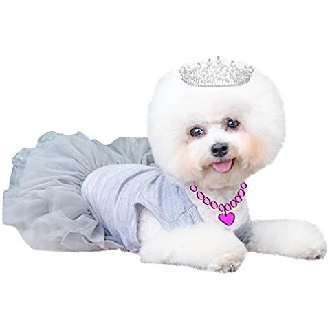 BINGPET Pet Dog Dresses 2 Packs for Small Dogs Kitten Puppy, Birthday Puppy Dress Cute Pet Princess Tutu Skirt Outfits, Daily & Party Pet Clothes for Small Breed Dogs Cats Cover