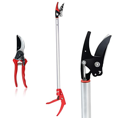 Buy Byhagern 32Inch Cut and Hold Pruners, LongReach Tree Pruner with