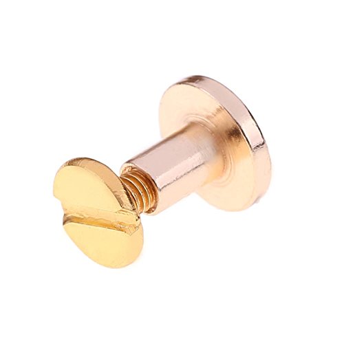Whitelotous 20Pcs Copper Rivets For Leather Binding Chicago Screws Nail Rivets Diy Craft Craft(Gold)(8Mm) #TOP6