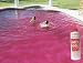 Party Pool - Rockin' Red - 8 oz Bottle