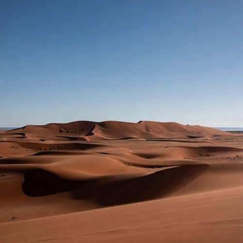 The Red Dust of the Gibson Desert