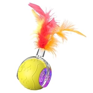 Generisch Intelligenter interaktiver Katzenball TRD