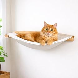 cama de gato suspensa parede