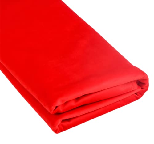 TinaKim Upholstery Velvet Fabric Couch, for Sofa Chair Cover Material, DIY Repair (Red, 10 Yards)