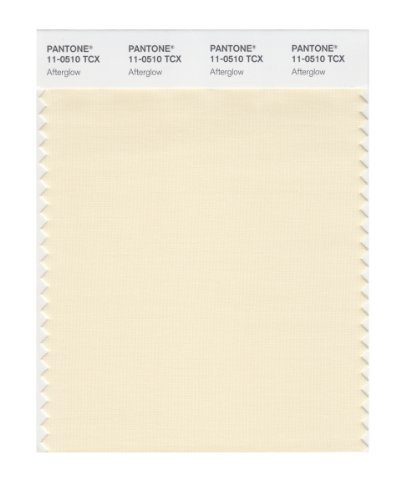 PANTONE Smart 11-0103X Color Swatch Card, Egret
