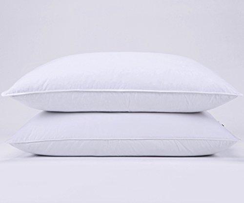 puredown Natural Goose Down Feather White Pillow Inserts, 100% Egyptian Cotton Fabric Cover Bed Pillows, Set of 2 Standard Size puredown Natural Goose Down Feather White Pillow Inserts, 100% Egyptian Cotton Fabric Cover Bed Pillows, Set of 2 Standard Size
