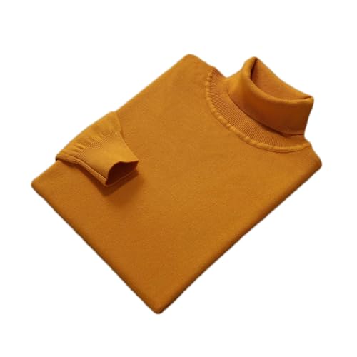Men's Turtleneck Knit Sweater Cashmere Blend Soft Warm Pullover Casual Autumn Winter Jumper